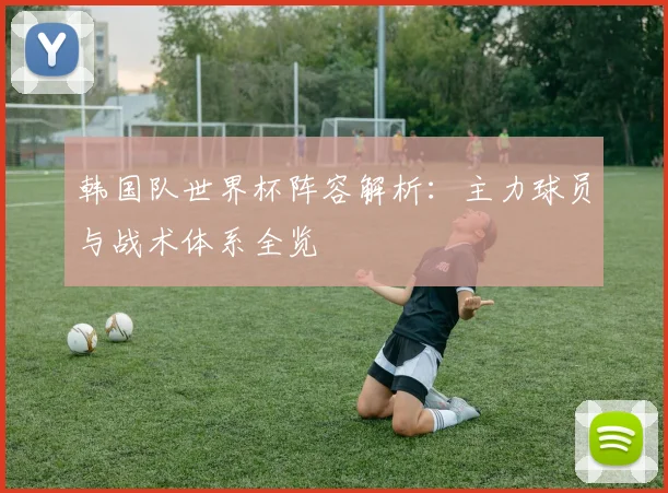 韩国队世界杯阵容解析：主力球员与战术体系全览